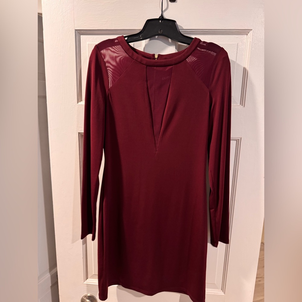Express Long Sleeve Dress in Wine